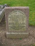 image of grave number 237004